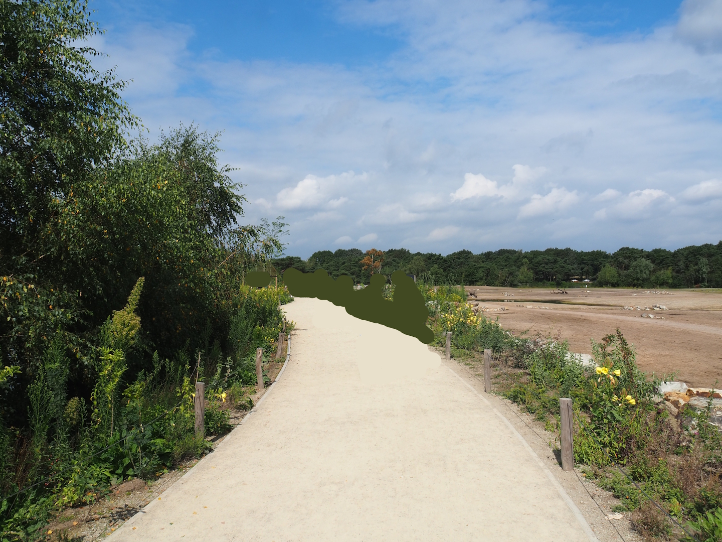 Southern white rhinoceros plains and new walkway, 2023-08-15