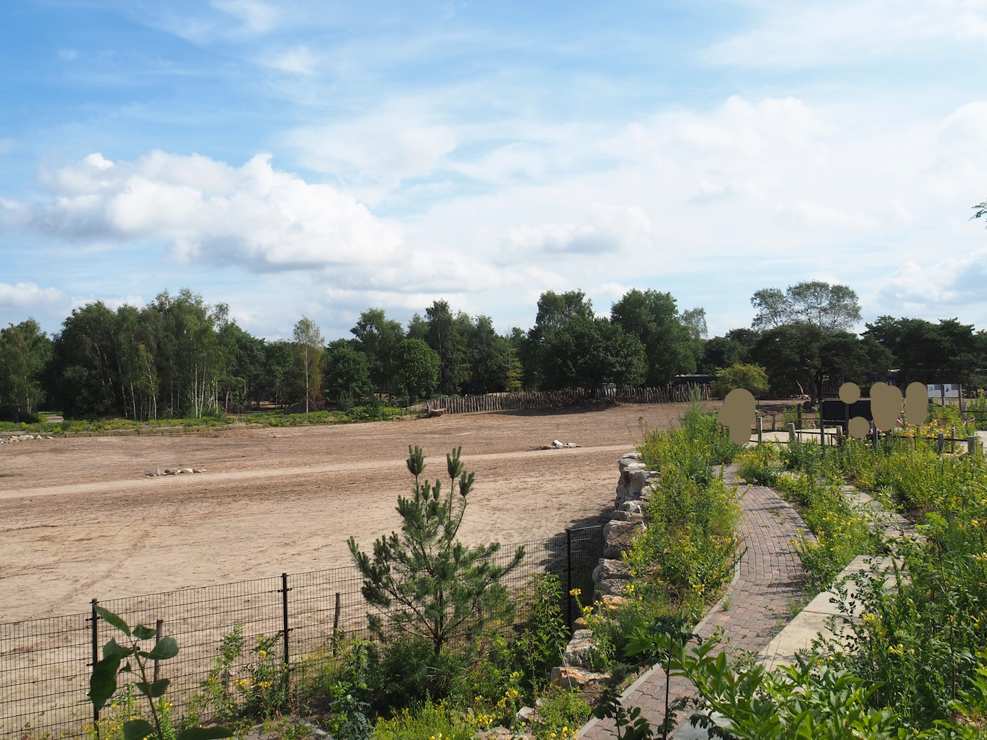Southern white rhinoceros plains and part of new viewing area, 2023-08-15
