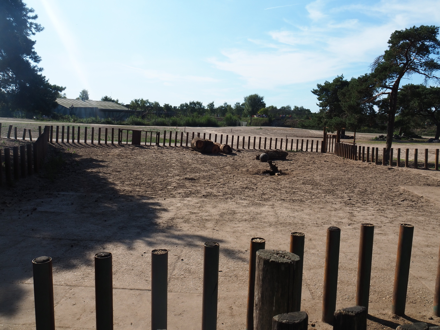 Southern white rhinoceros separation paddock, 2019-09-15