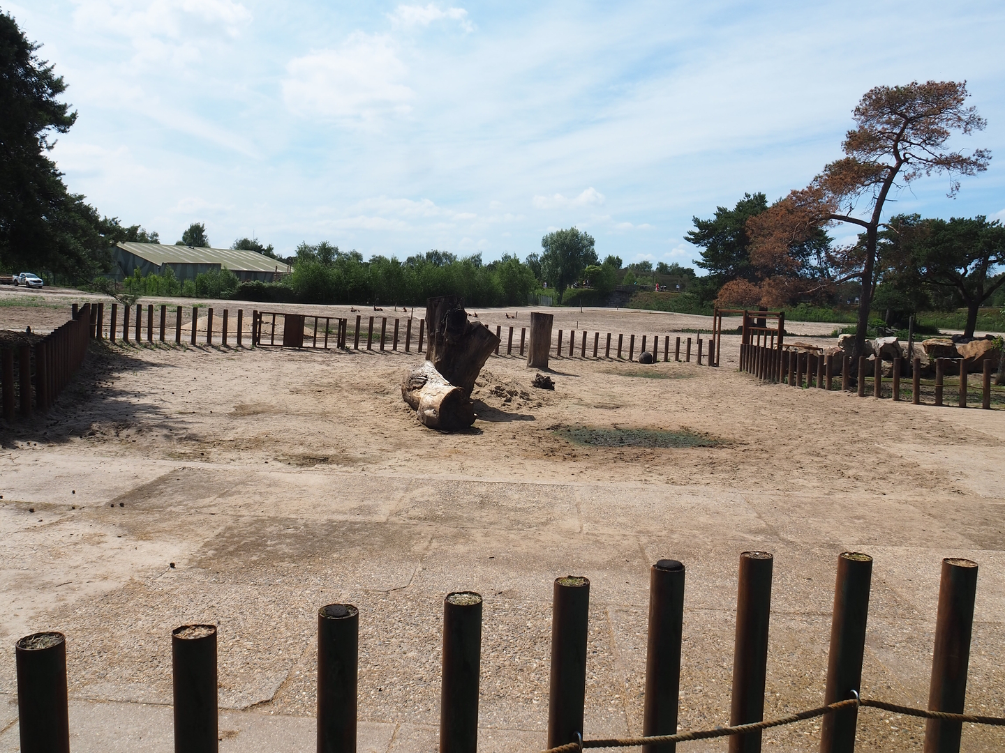 Southern white rhinoceros separation paddock, 2022-06-12
