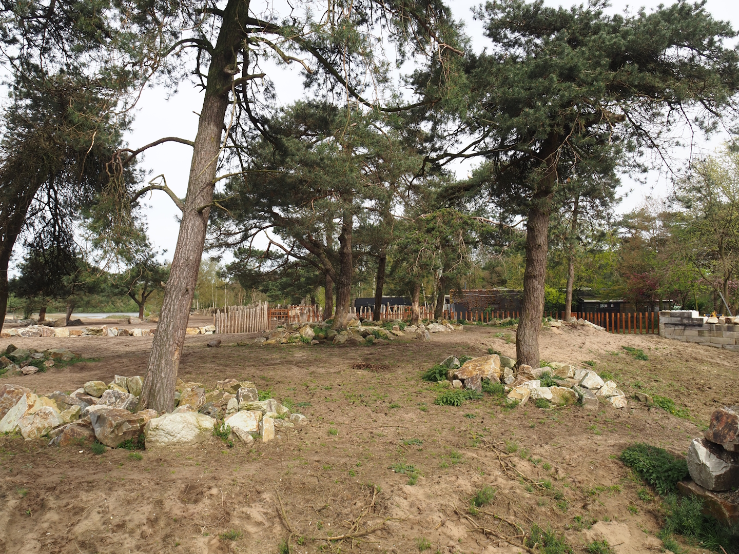 Southern white rhinoceros separation paddock, 2024-04-06