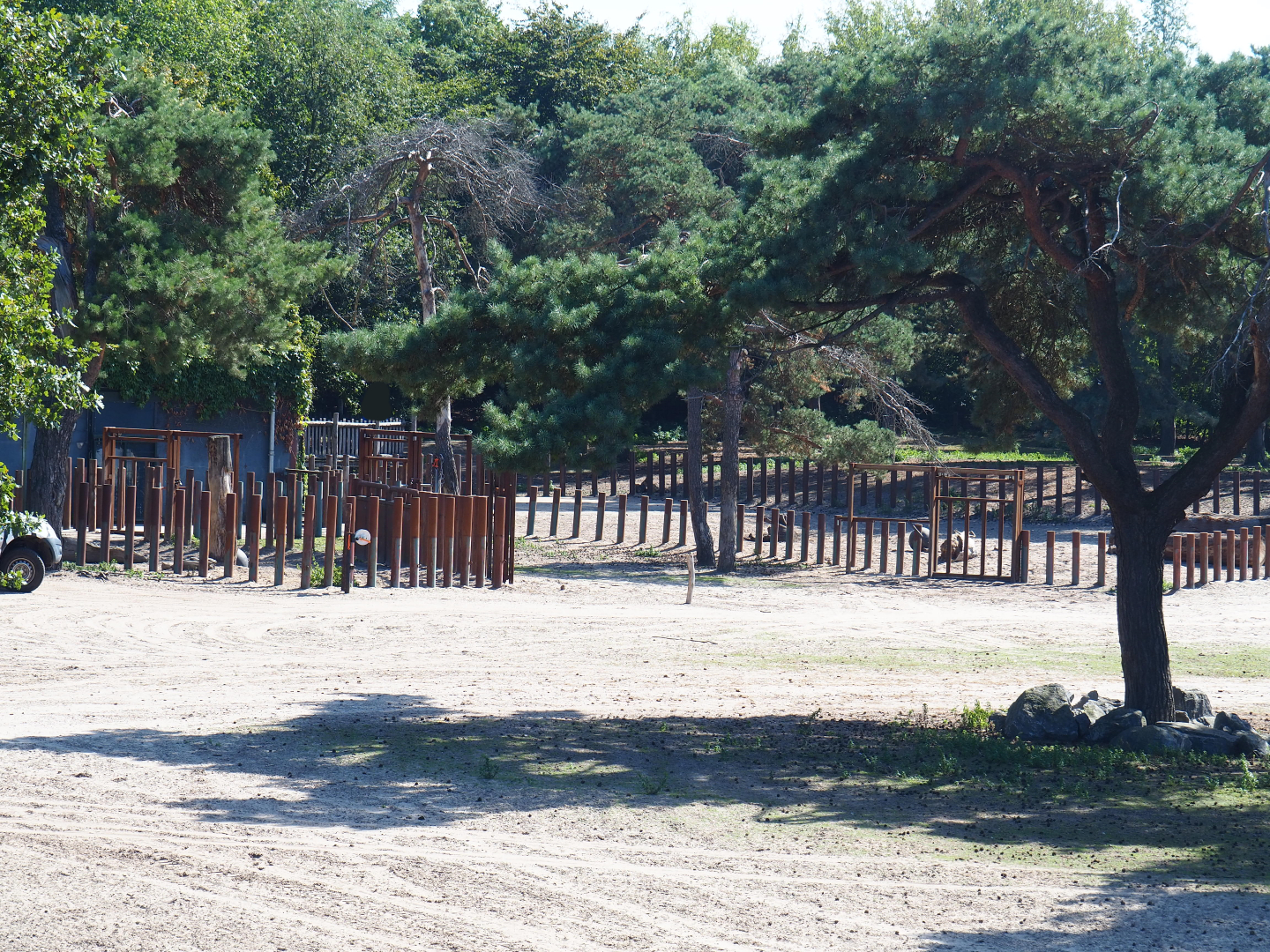 Southern white rhinoceros separation paddocks, 2019-09-15