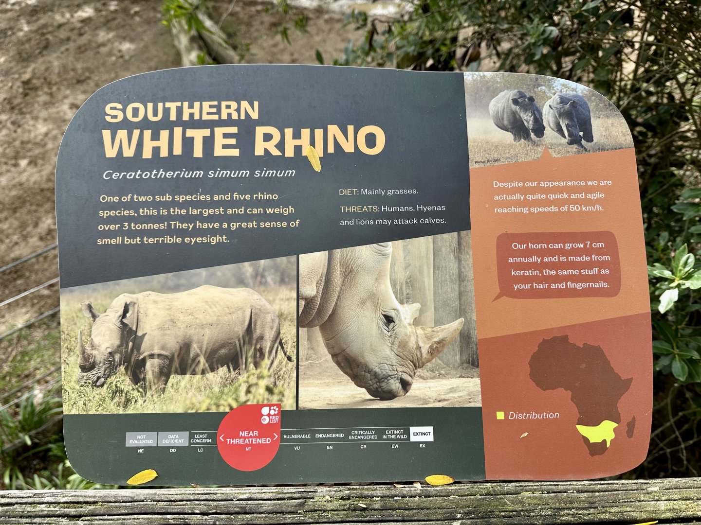 Southern White Rhinoceros Signage