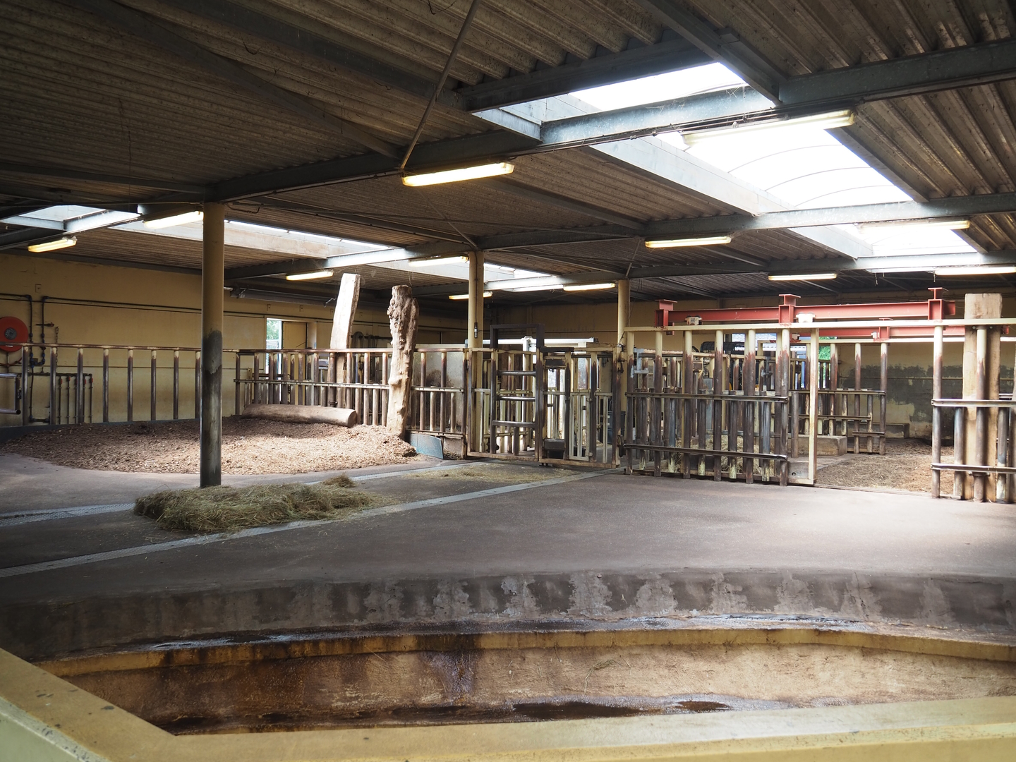 Southern white rhinoceros stables, 2022-06-12