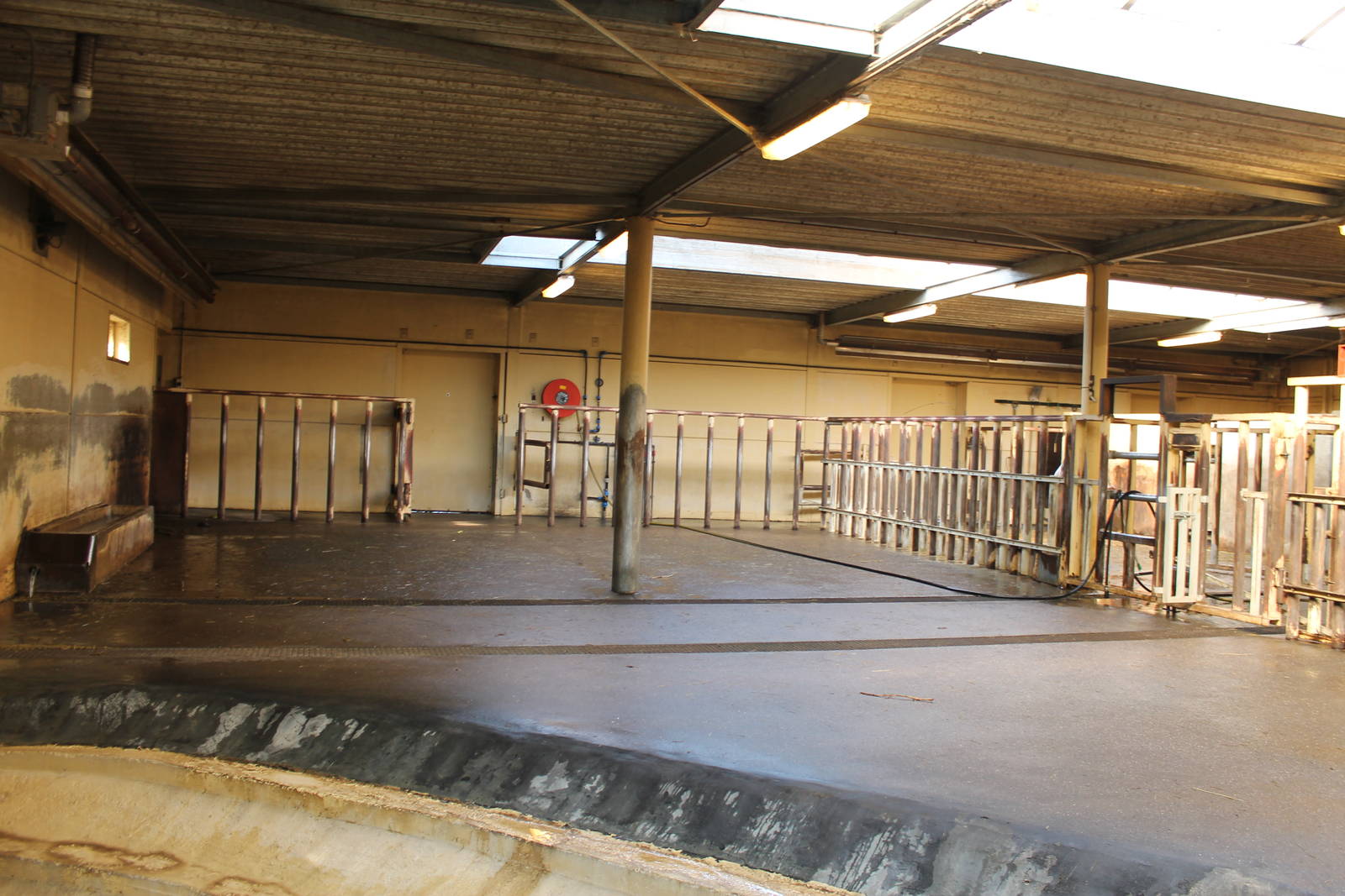 Southern white rhinoceros stables