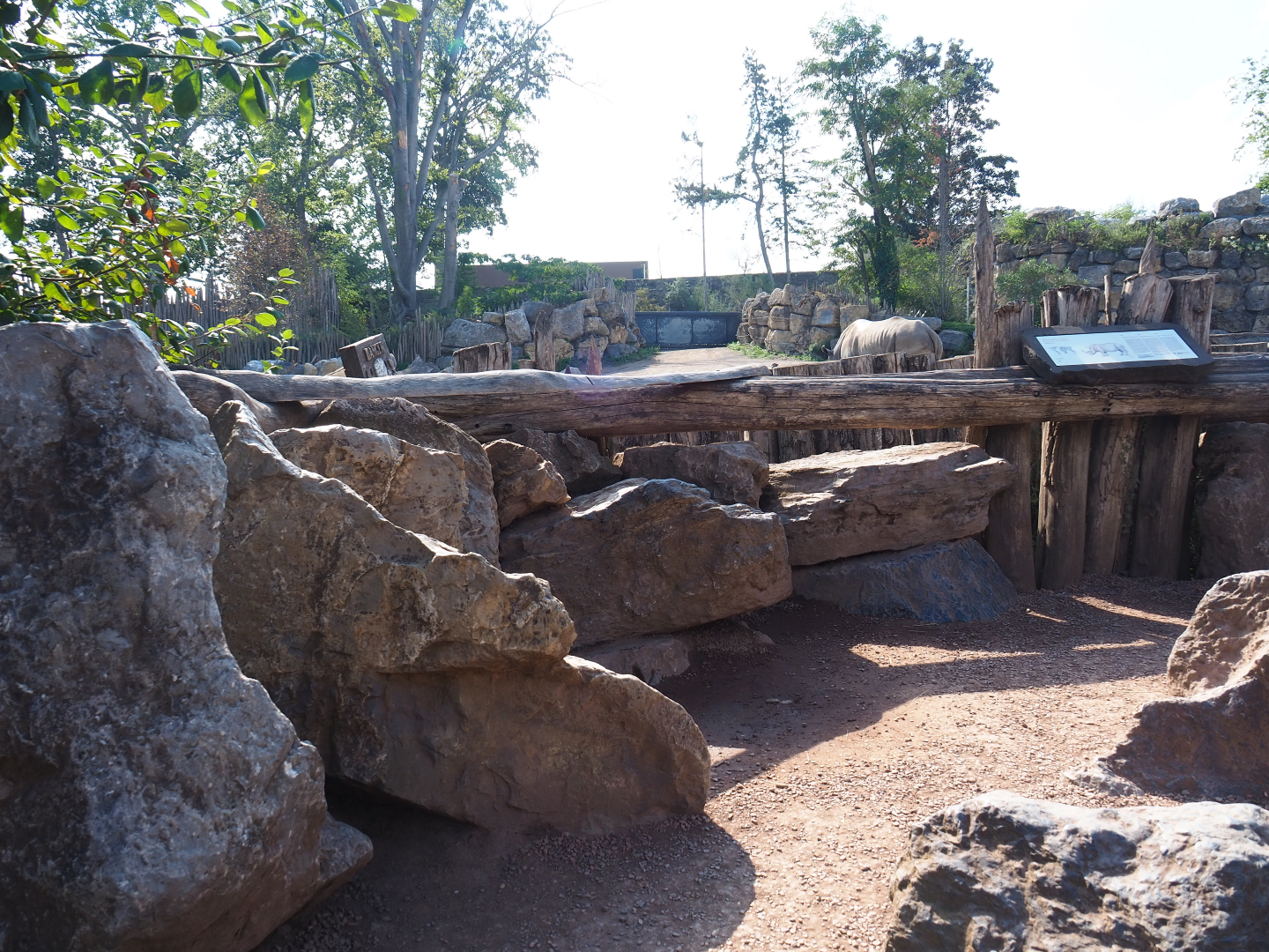 Southern white rhinoceros viewing area, 2020-09-02