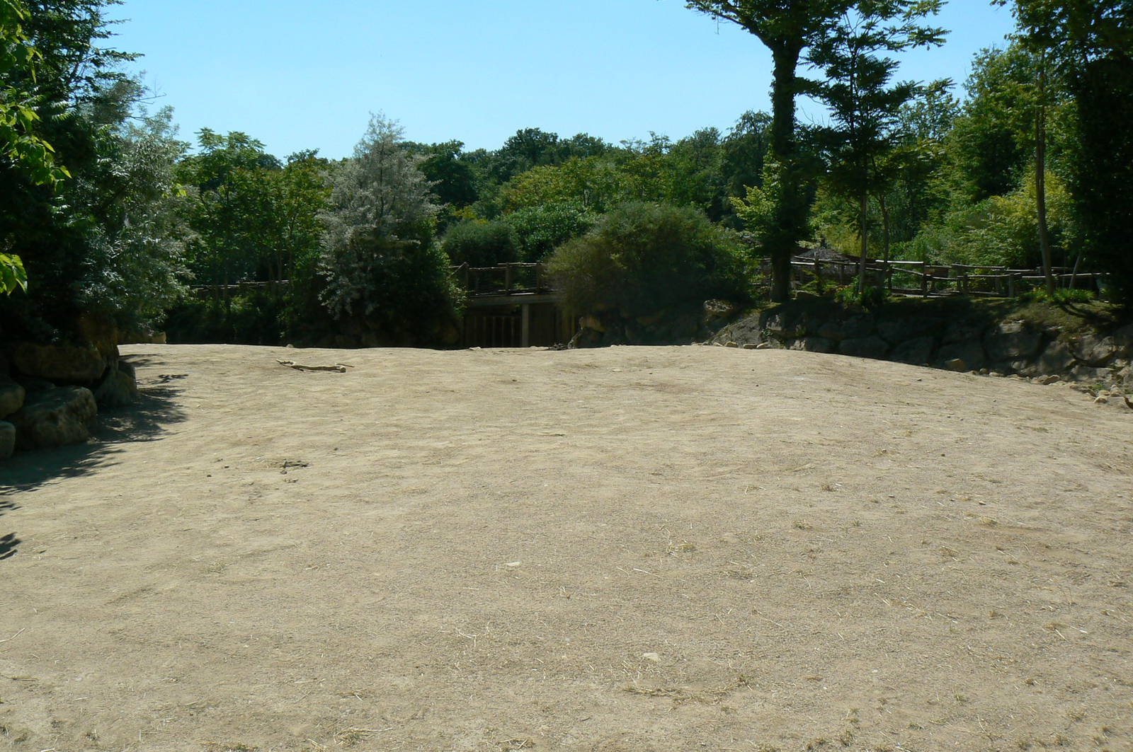 Southern white rhinos exhibit - Main enclosure