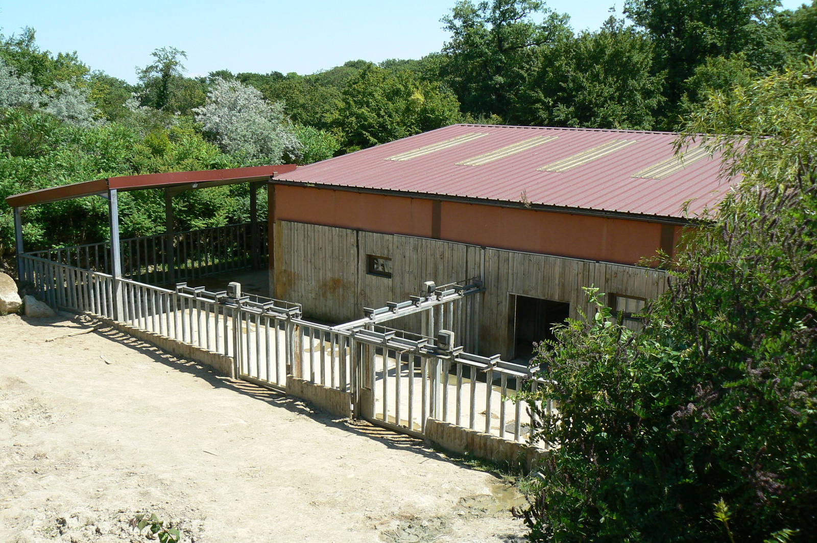 Southern white rhinos exhibit - rhinos house