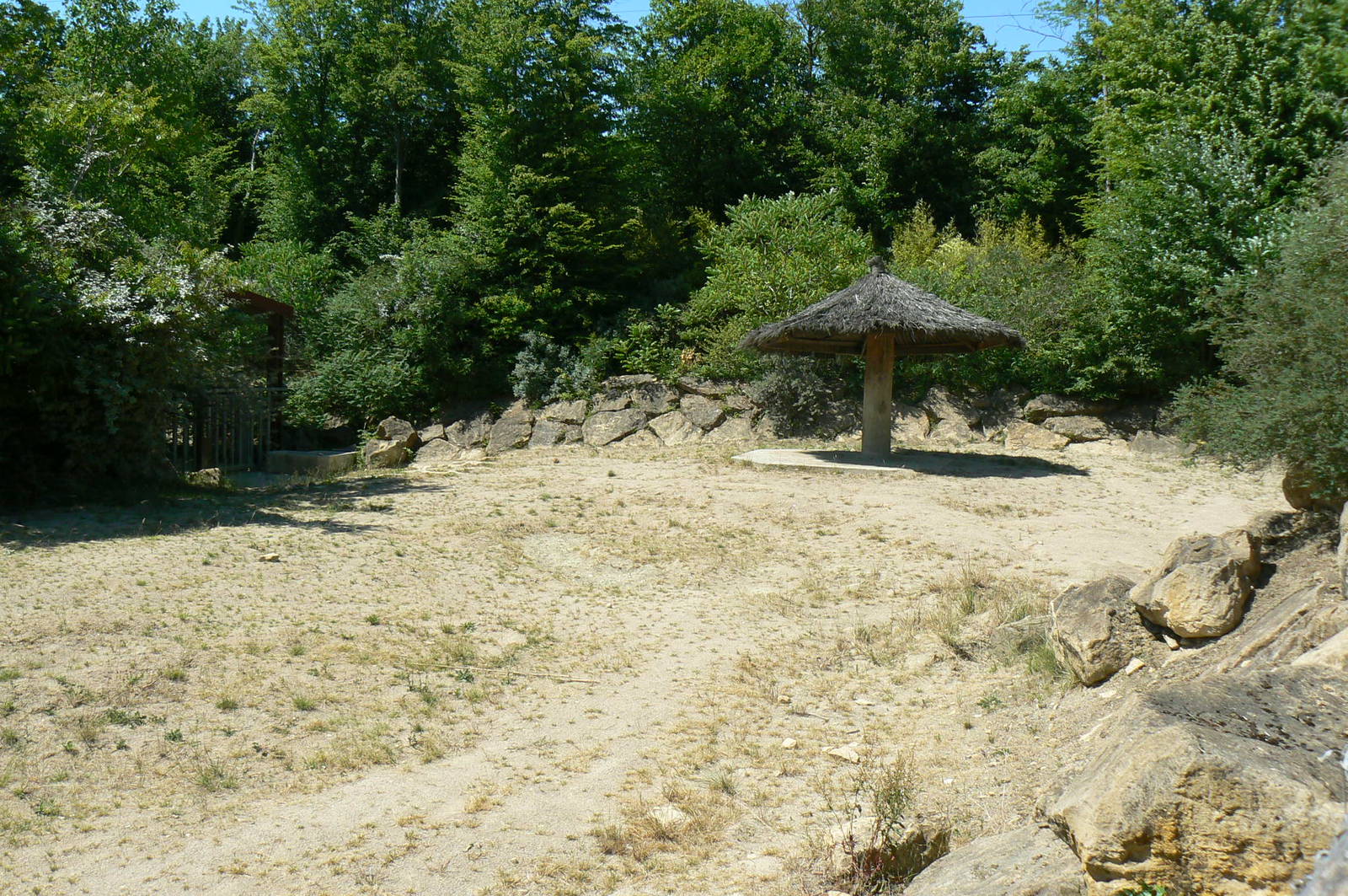 Southern white rhinos exhibit - Second enclosure