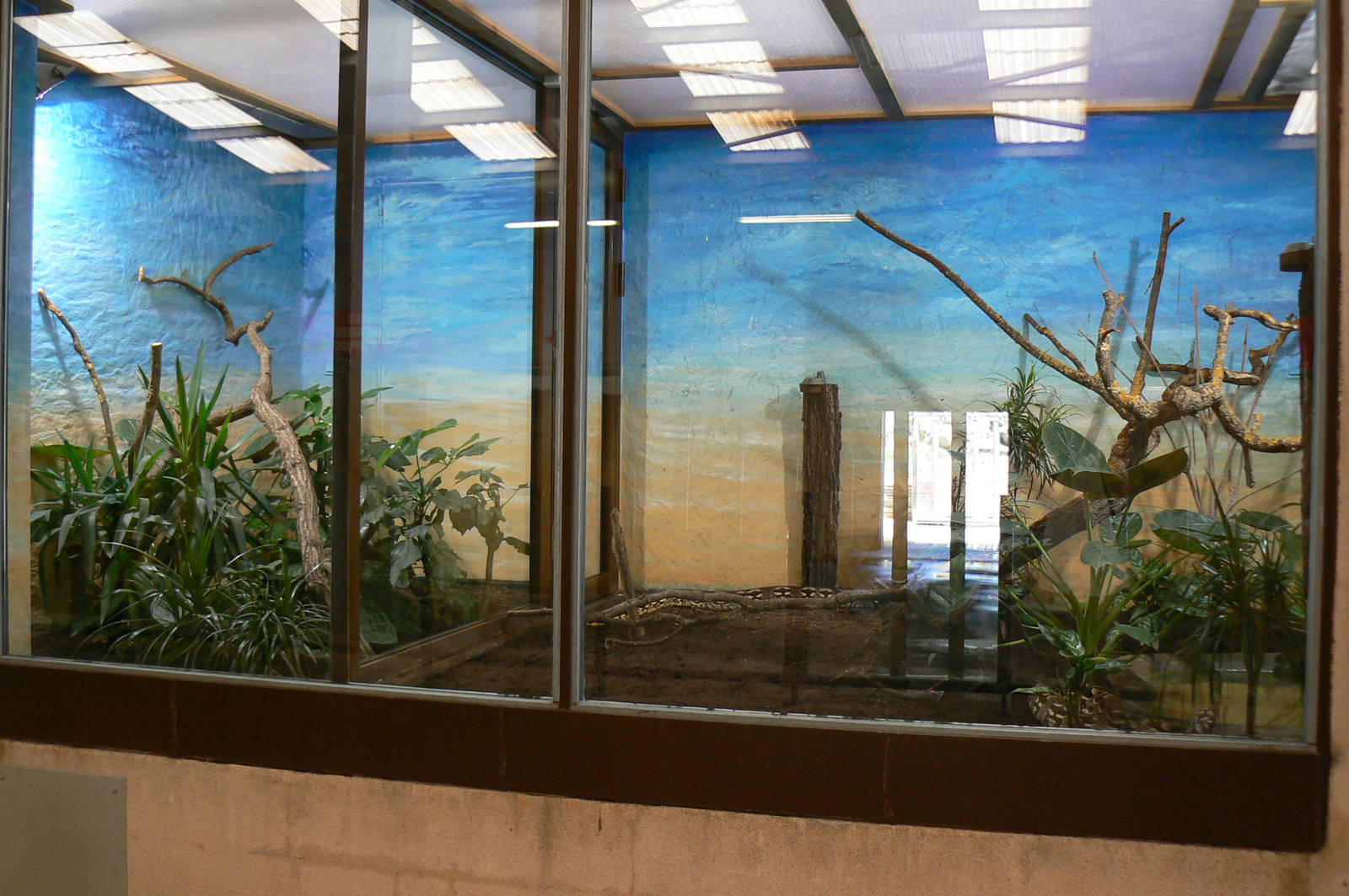 Southern white rhinos house - Madagascan ground boas exhibit