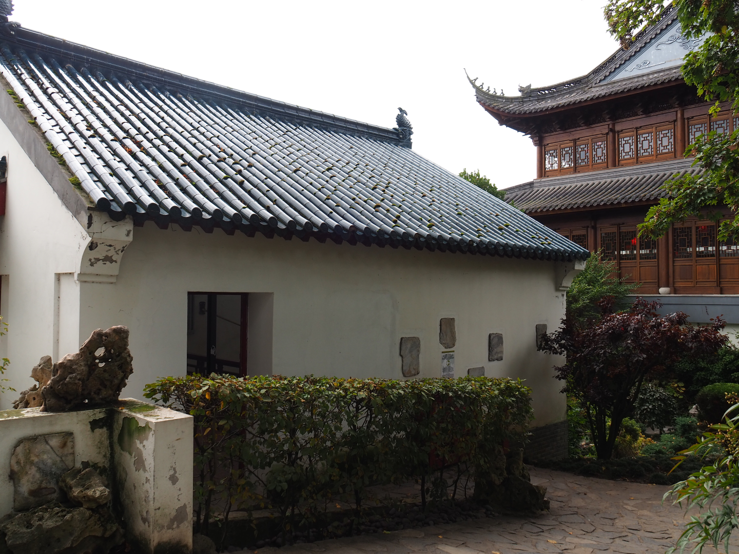 Southern yellow-cheeked gibbon exhibit, 2019-10-05