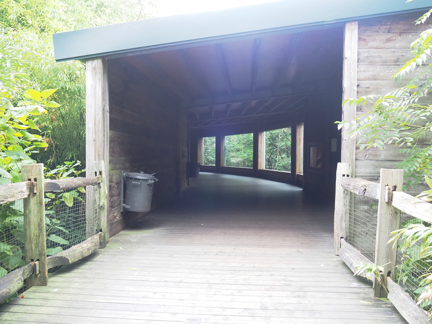 Southern yellow-cheeked gibbon viewing area, 2023-10-07