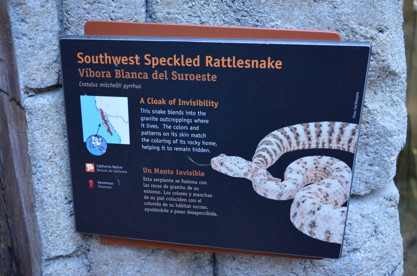 SOUTHWEST SPECKLED RATTLESNAKE SIGNAGE