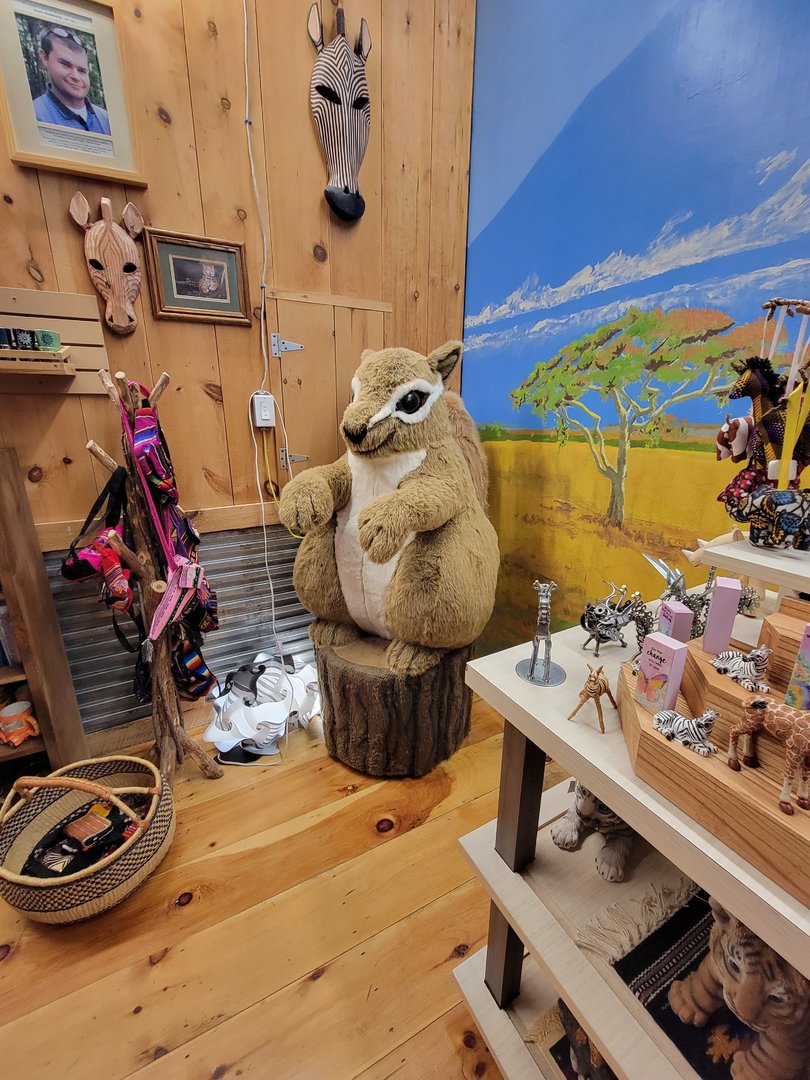 Southwick 7/22 - A very large squirrel