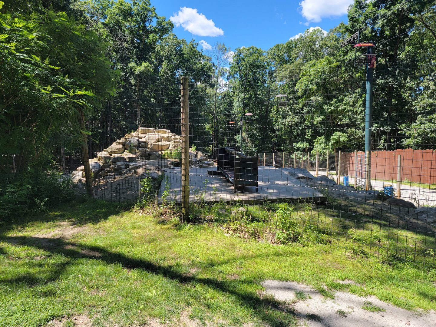 Southwick 7/22 - Aoudad