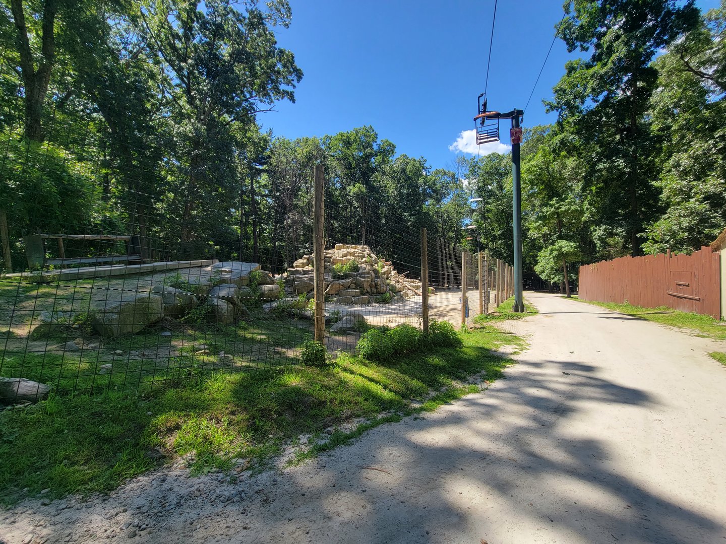 Southwick 7/22 - Aoudad