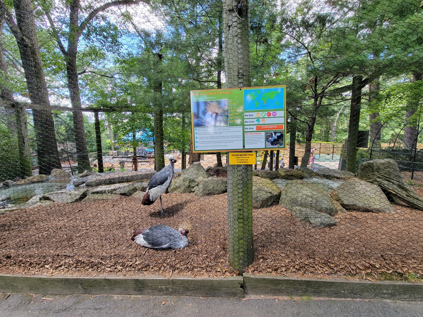 Southwick 7/22 - Aviary