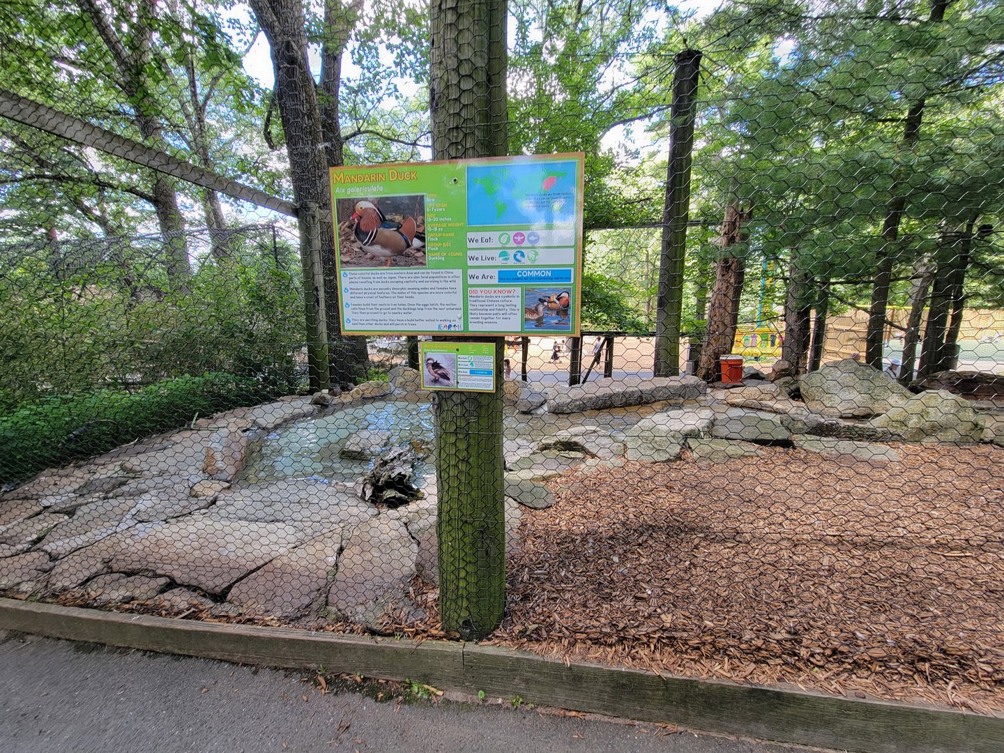 Southwick 7/22 - Aviary