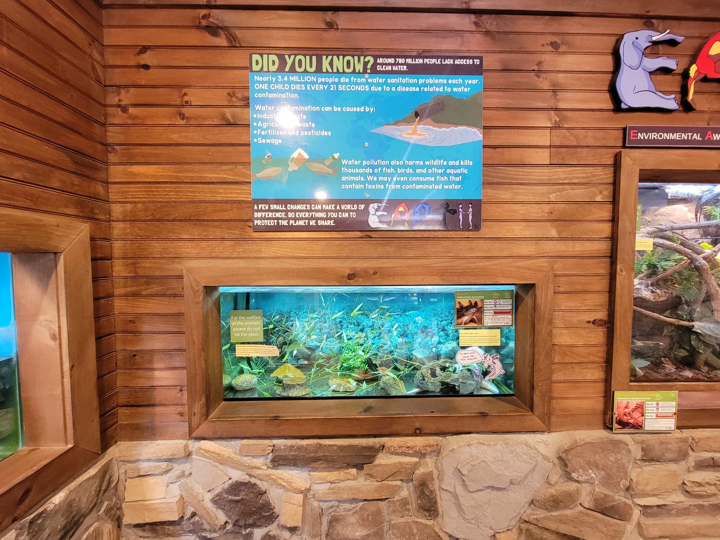 Southwick 7/22 - Axolotl