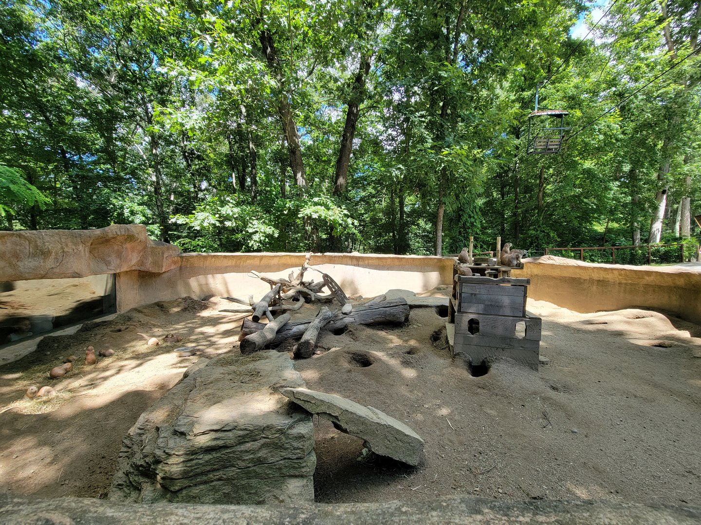 Southwick 7/22 - Black-tailed prairie dogs, skyfari above