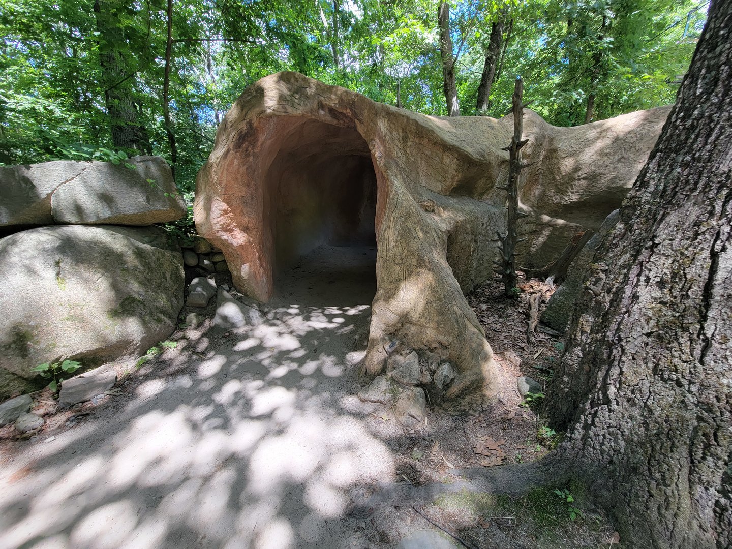 Southwick 7/22 - Black-tailed prairie dogs, to viewing window