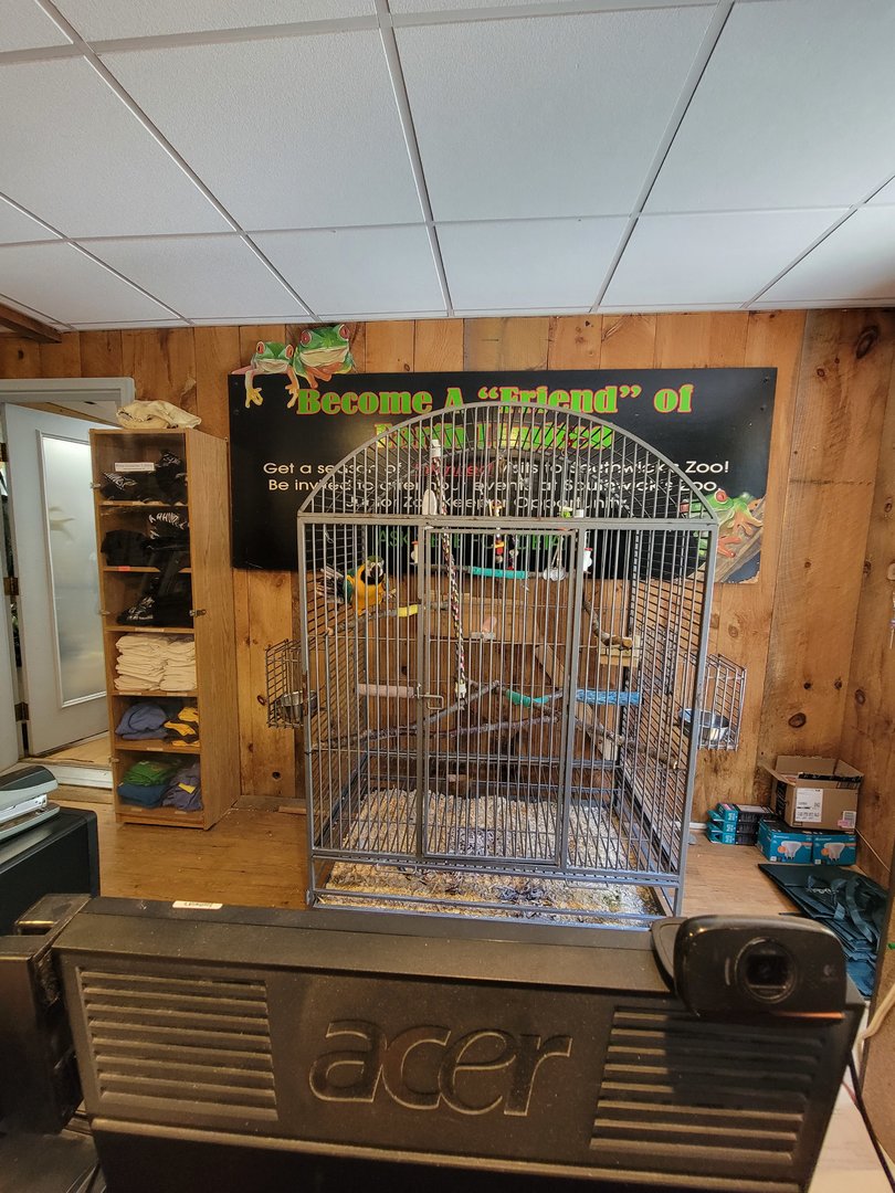 Southwick 7/22 - Blue and gold macaw