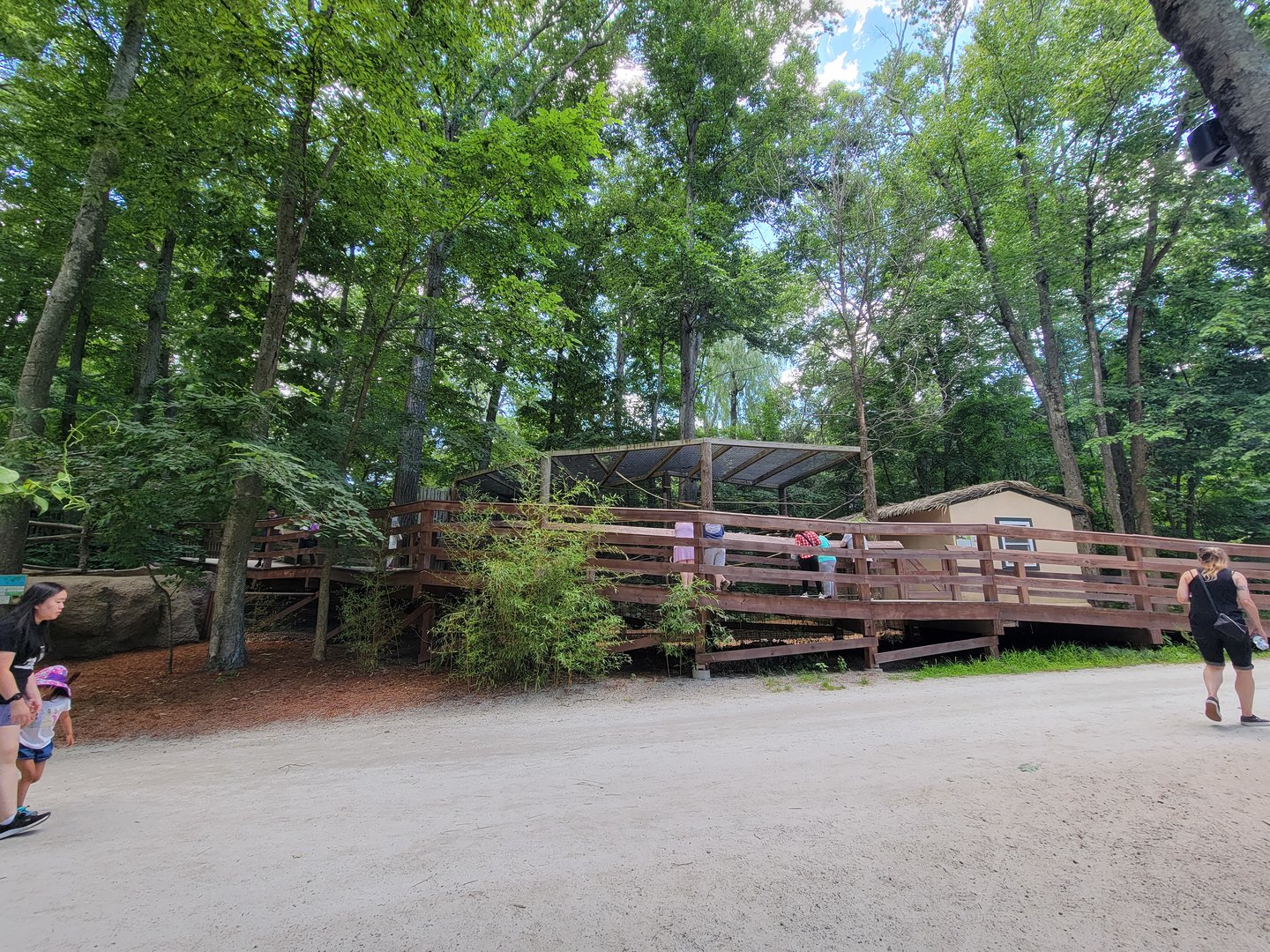 Southwick 7/22 - Boardwalk back up to cotton-top tamarins, etc