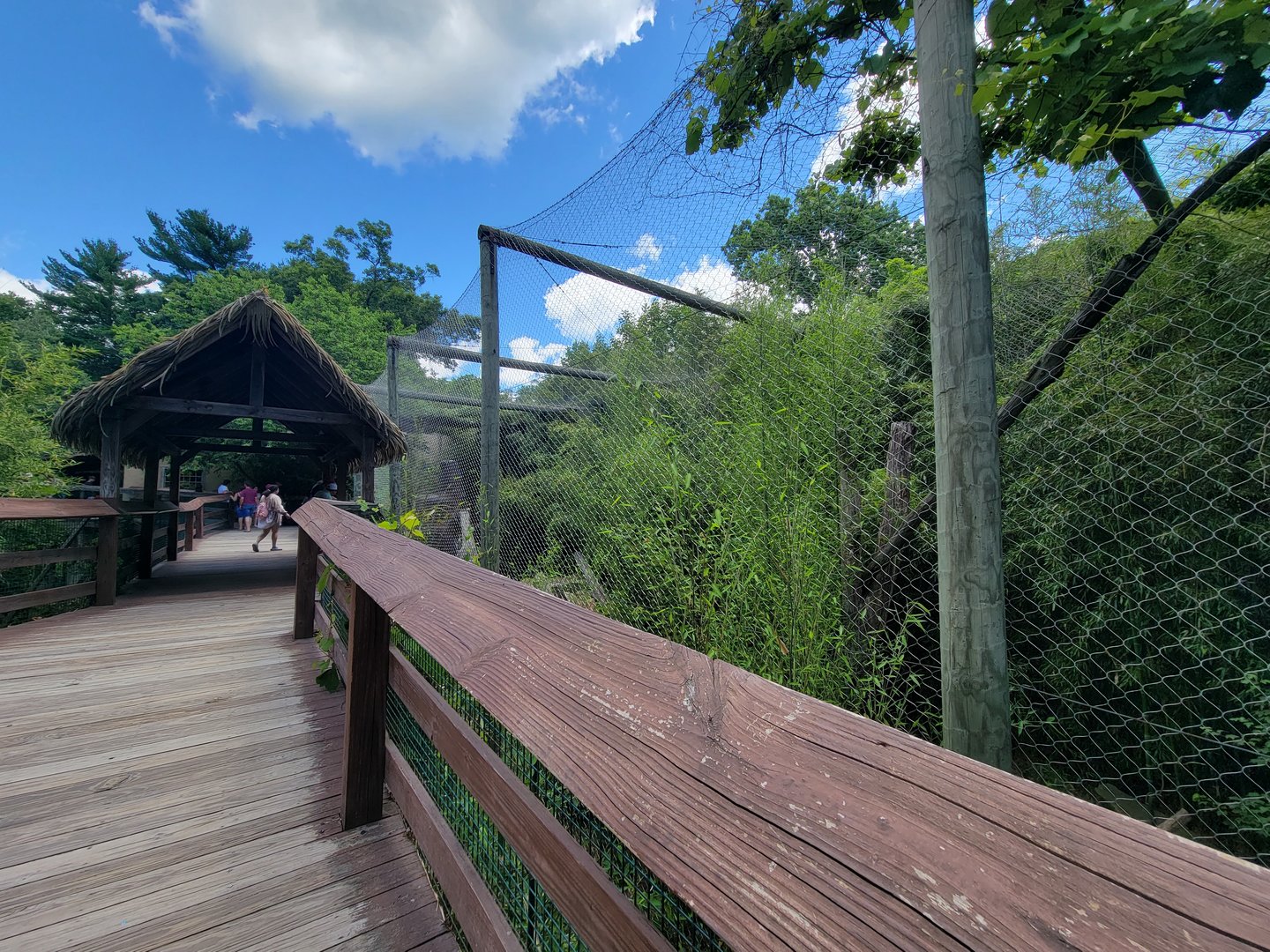 Southwick 7/22 - Boardwalk, leopard exhibit on right