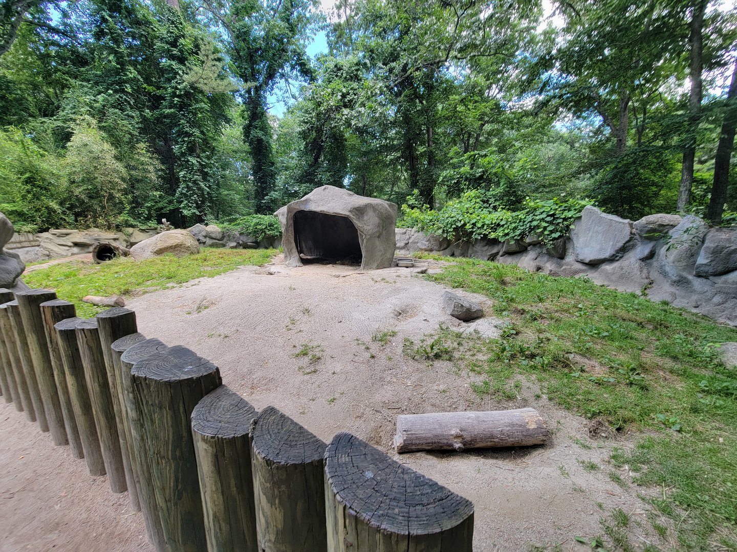 Southwick 7/22 - Cape porcupine