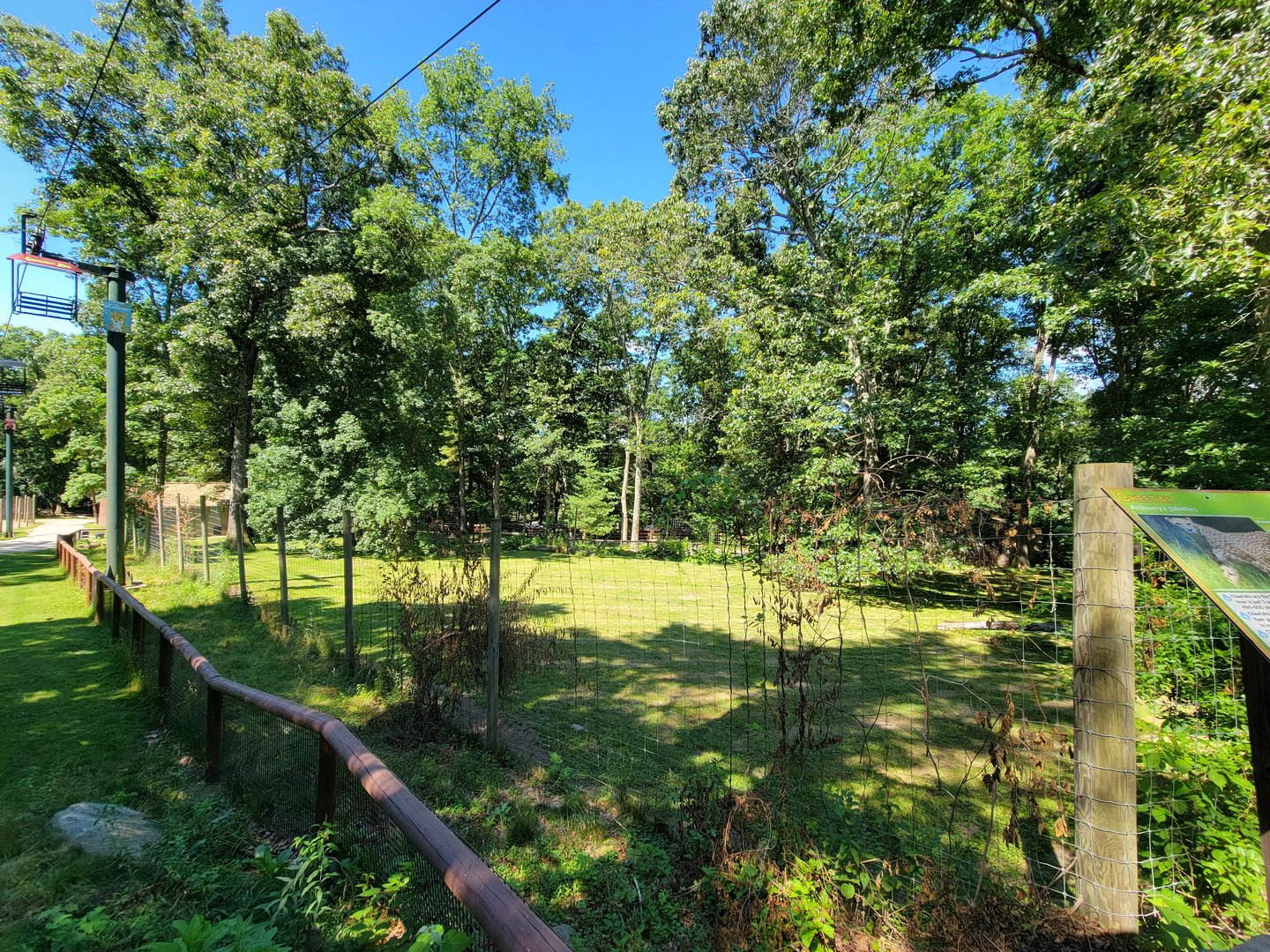 Southwick 7/22 - Cheetah yard #1