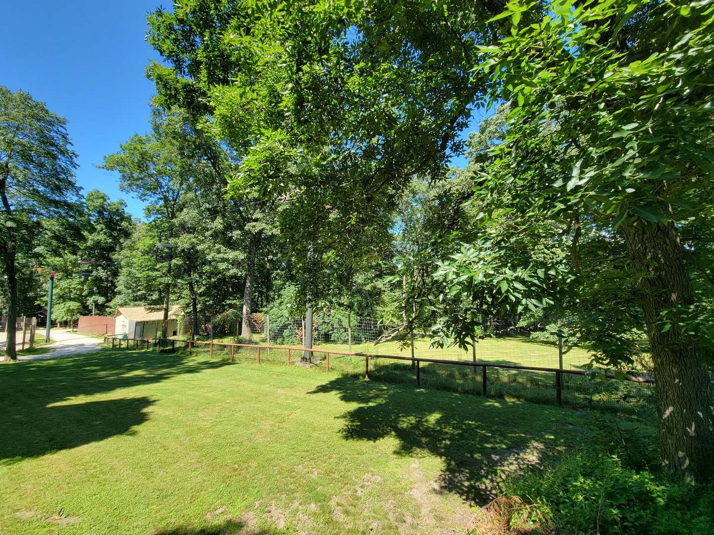 Southwick 7/22 - Cheetah yard #1