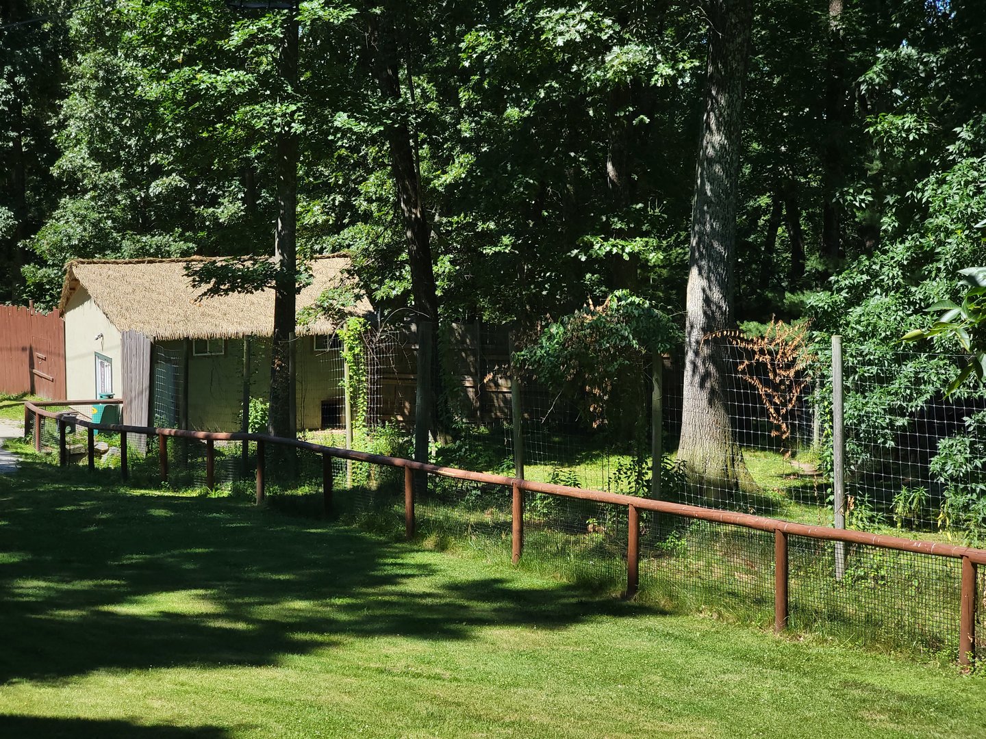 Southwick 7/22 - Cheetah yard #1