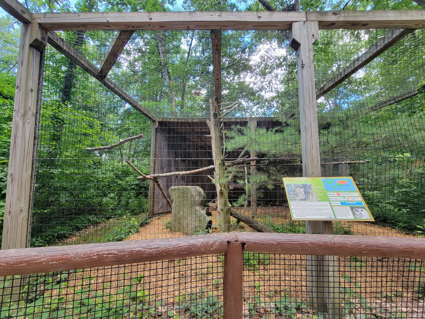 Southwick 7/22 - Eurasian eagle-owl