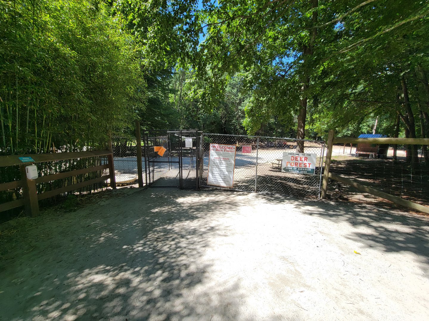 Southwick 7/22 - Fallow deer forest, where you can feed the deer