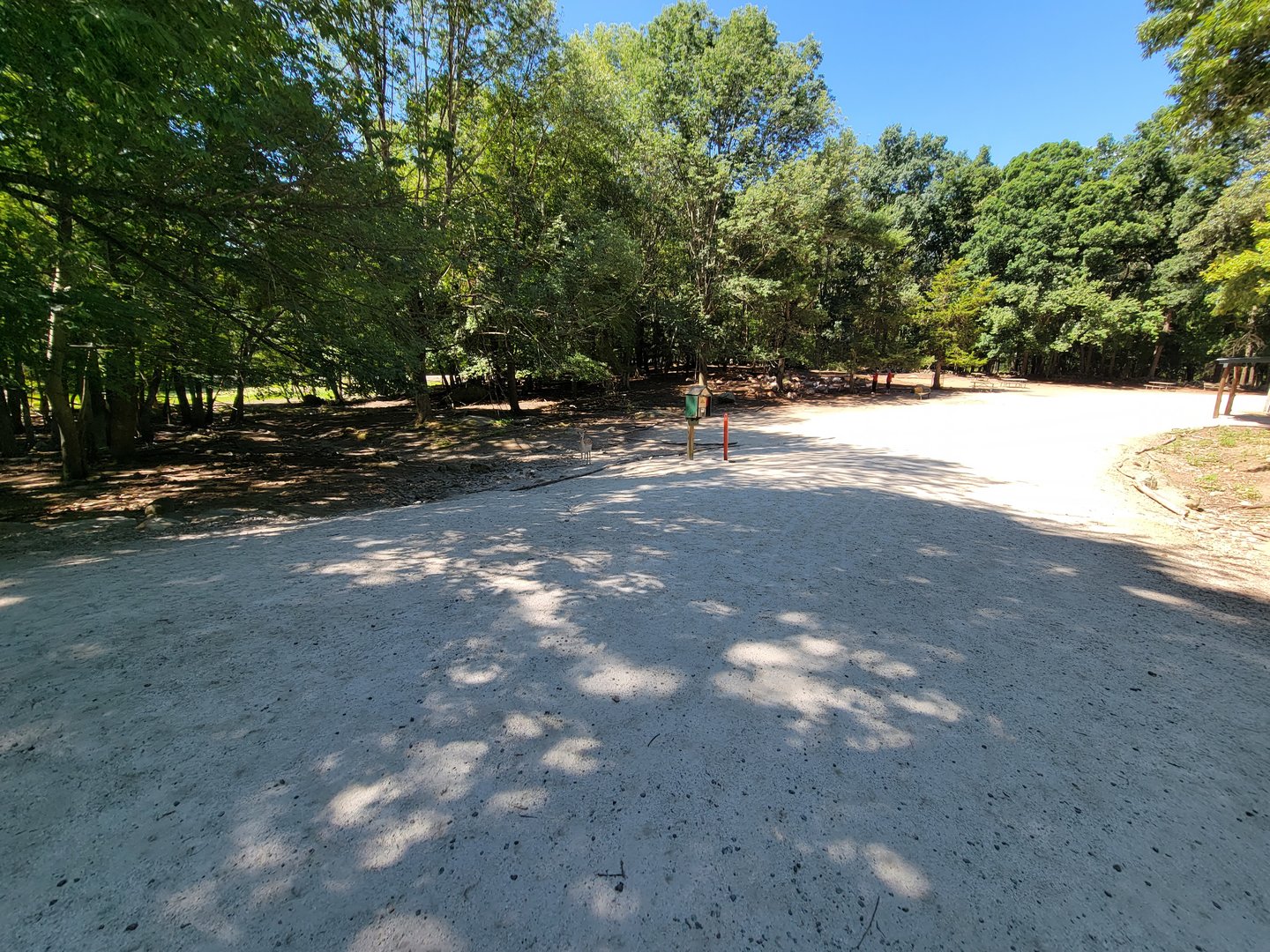 Southwick 7/22 - Fallow deer forest, where you can feed the deer