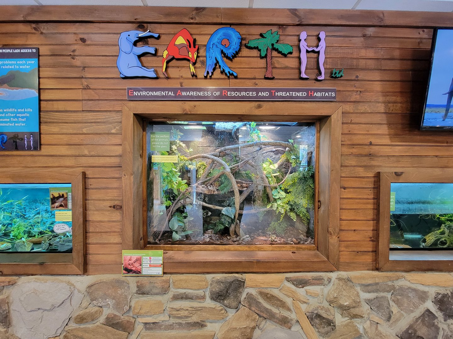 Southwick 7/22 - Five-keeled spiny-tailed iguana