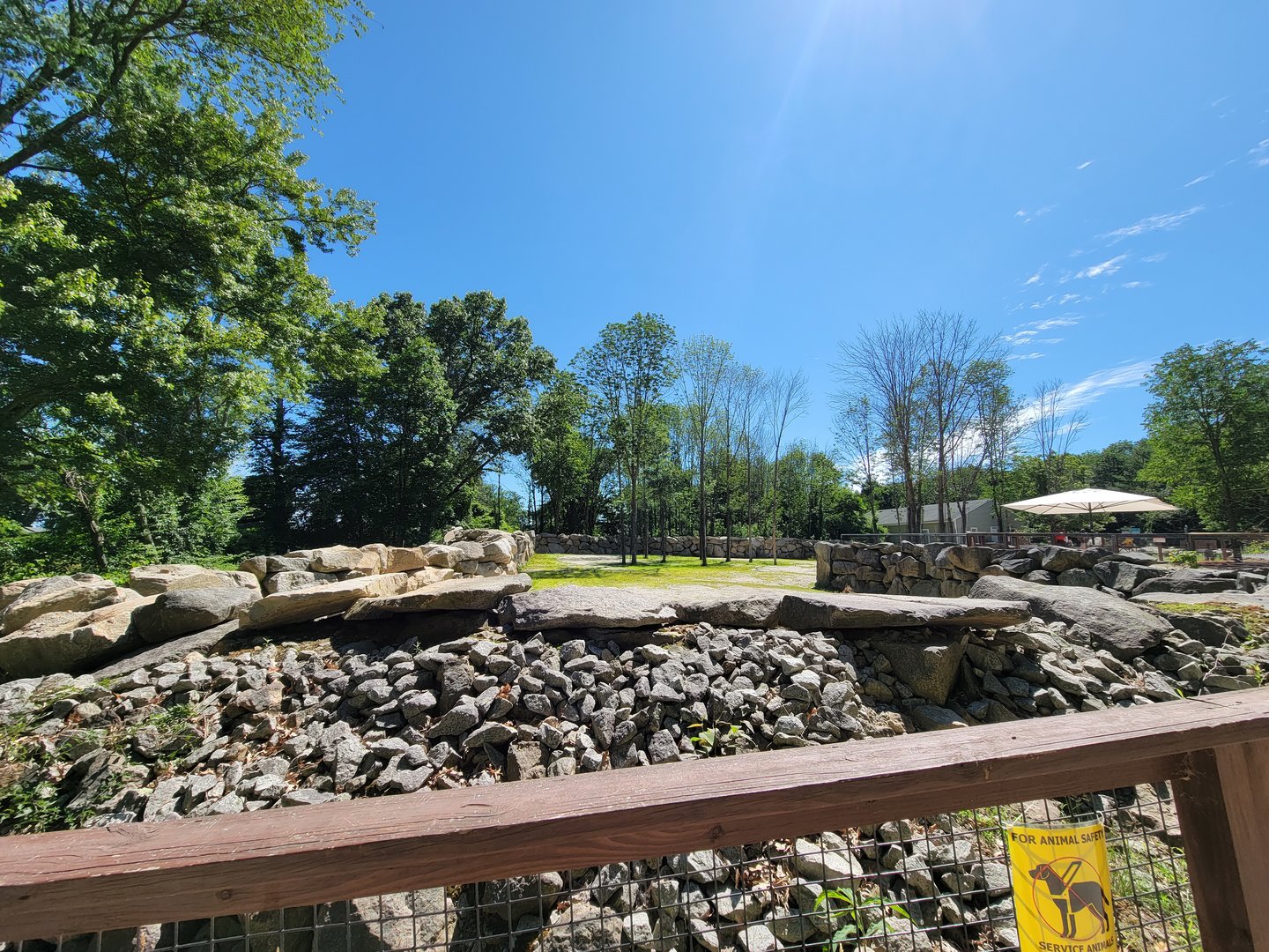 Southwick 7/22 - Giraffes