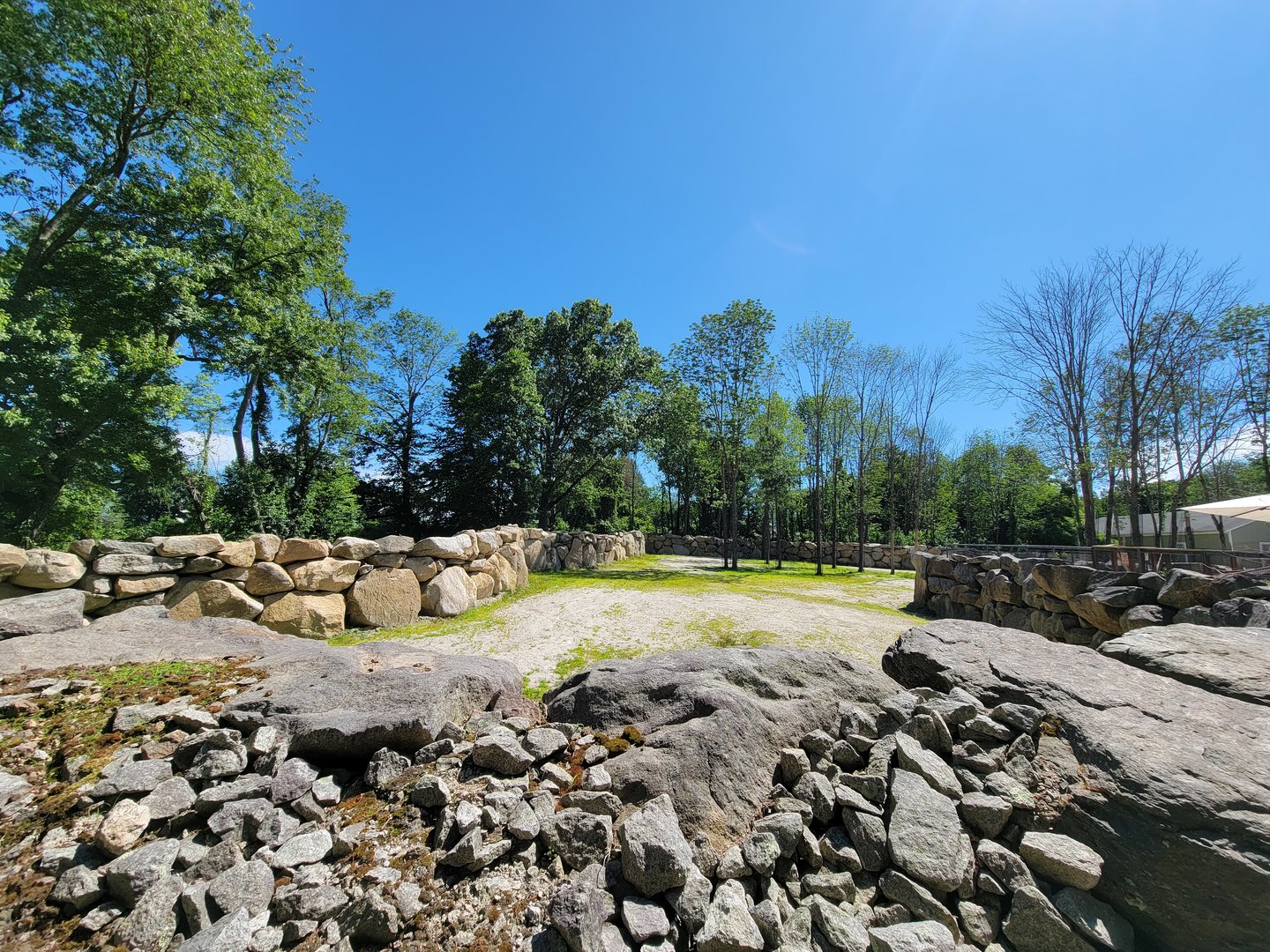 Southwick 7/22 - Giraffes