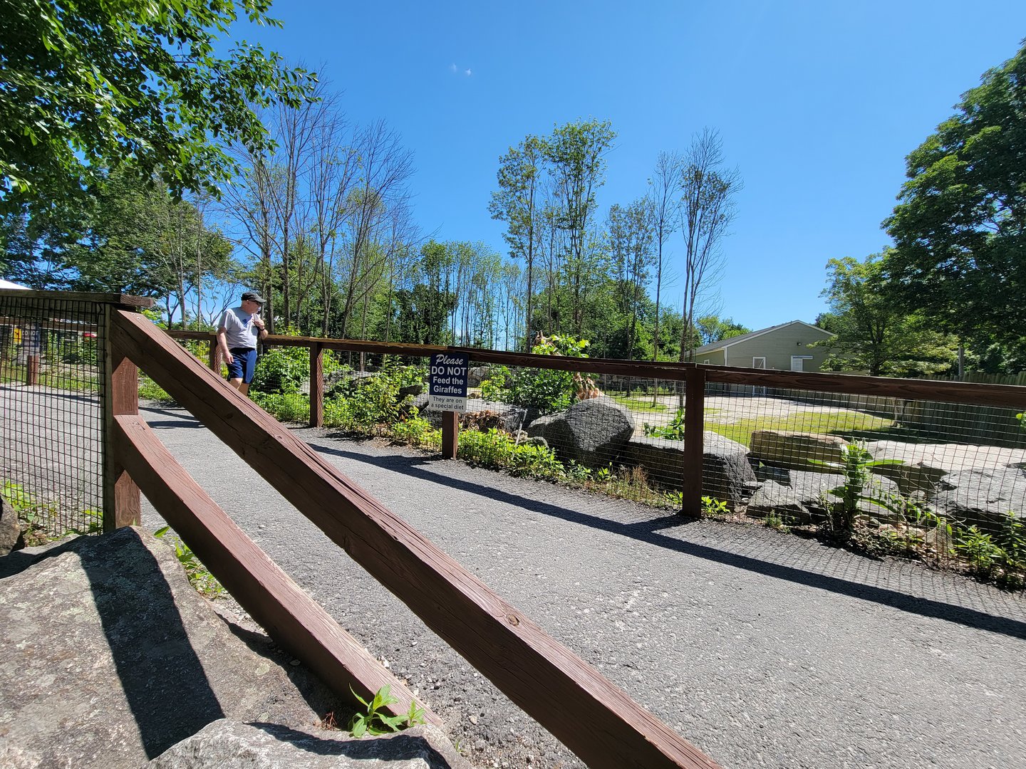 Southwick 7/22 - Giraffes