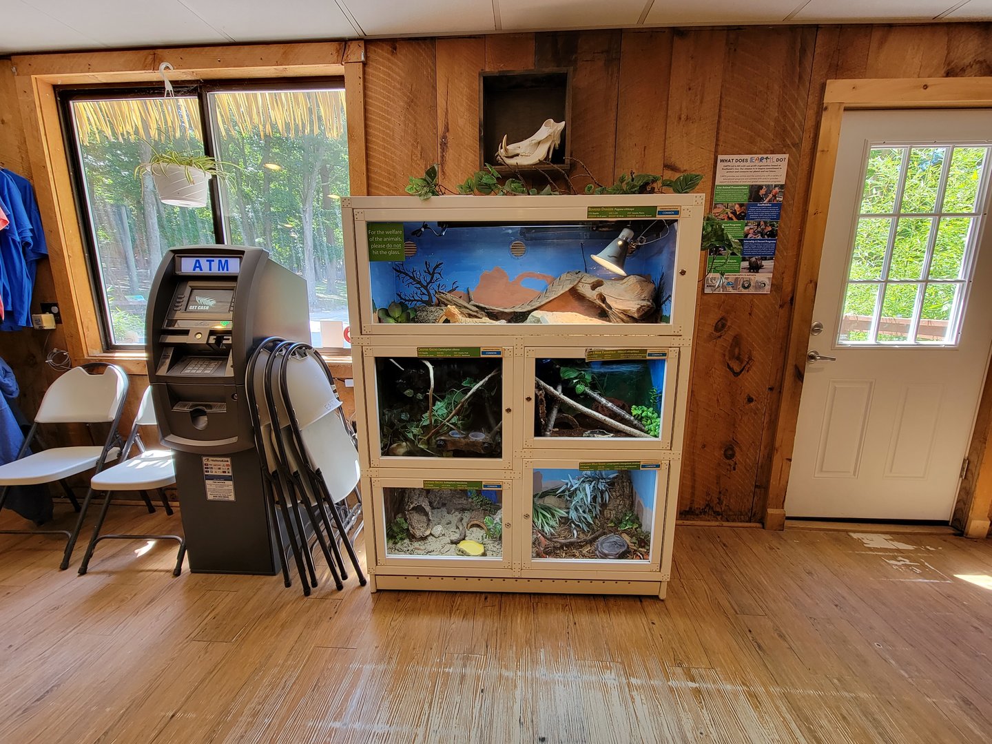 Southwick 7/22 - Herps