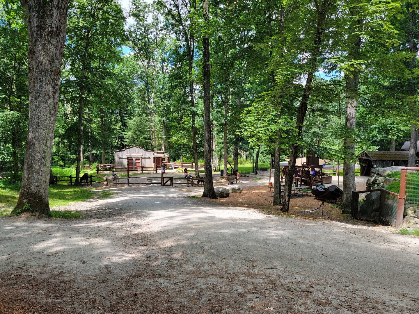 Southwick 7/22 - Horses at train station