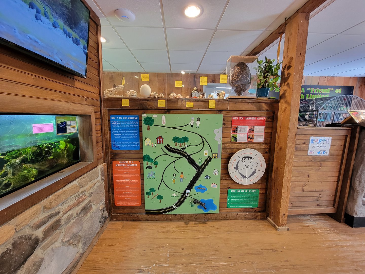 Southwick 7/22 - Information about salamander migration!