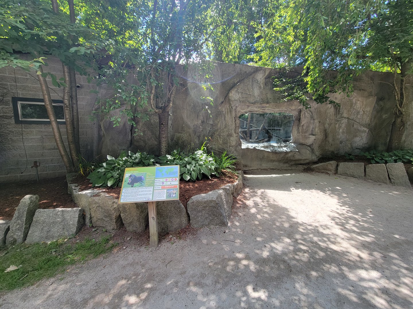 Southwick 7/22 - Mandrill