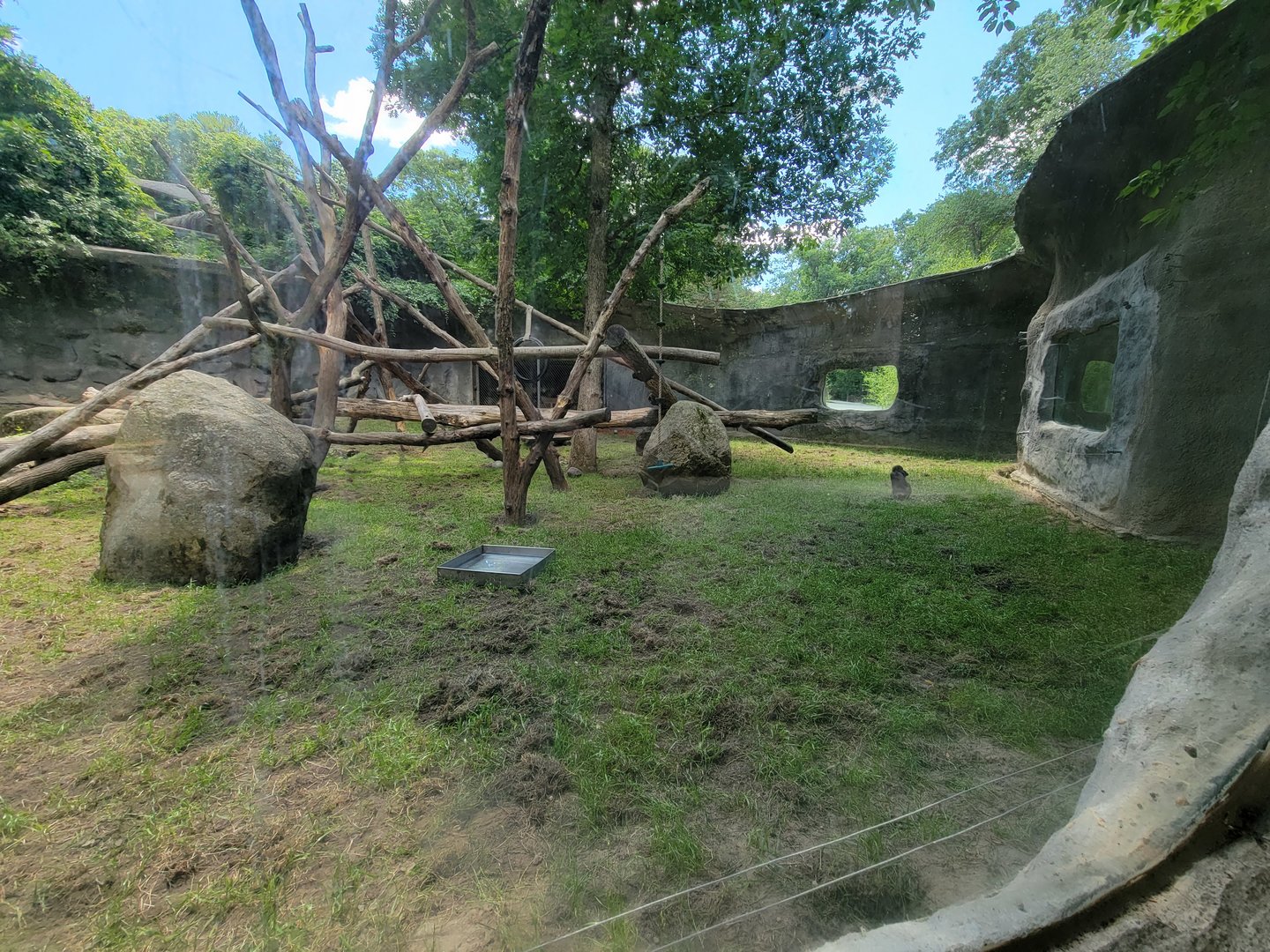 Southwick 7/22 - Mandrill