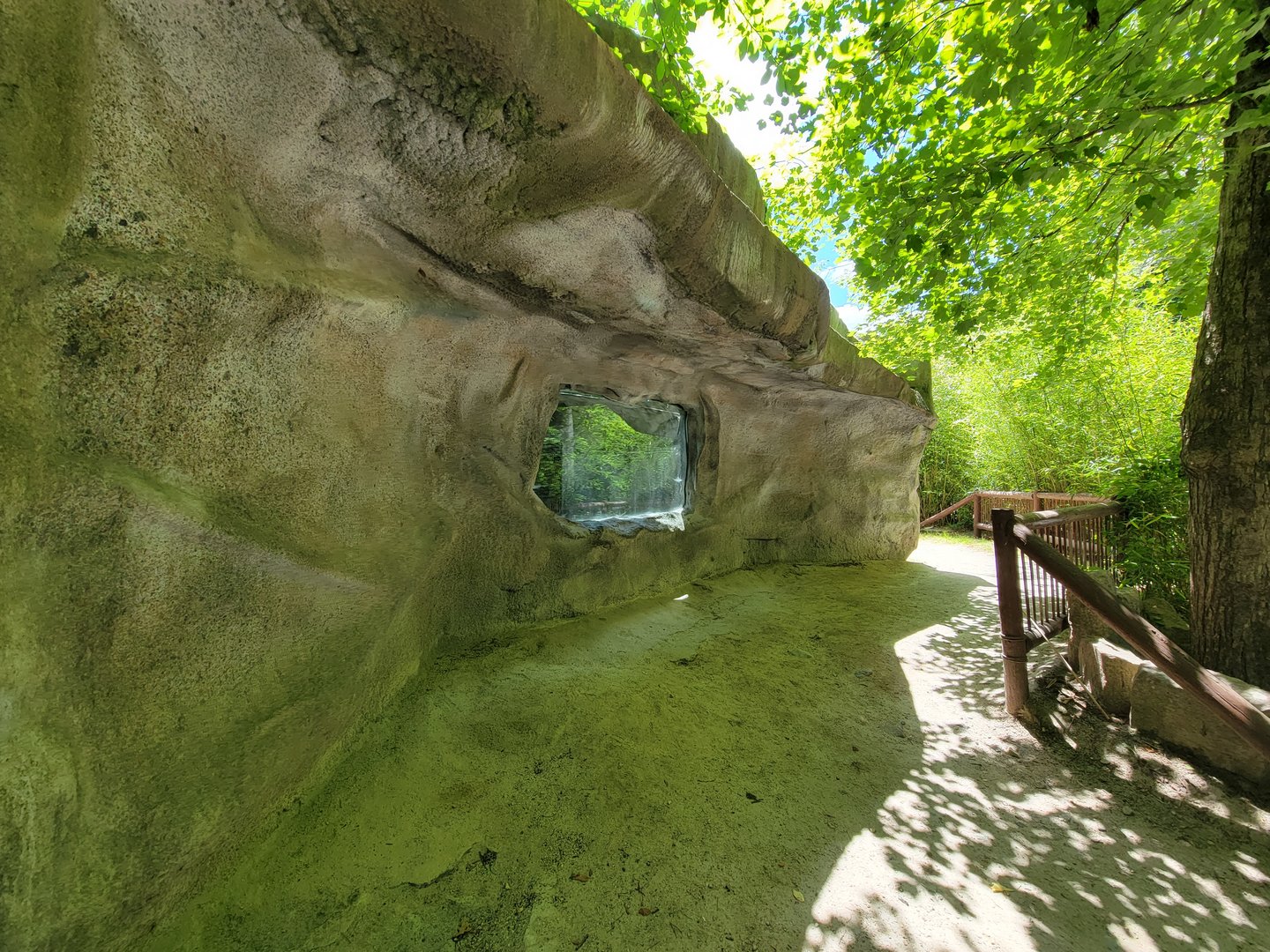 Southwick 7/22 - Mandrill