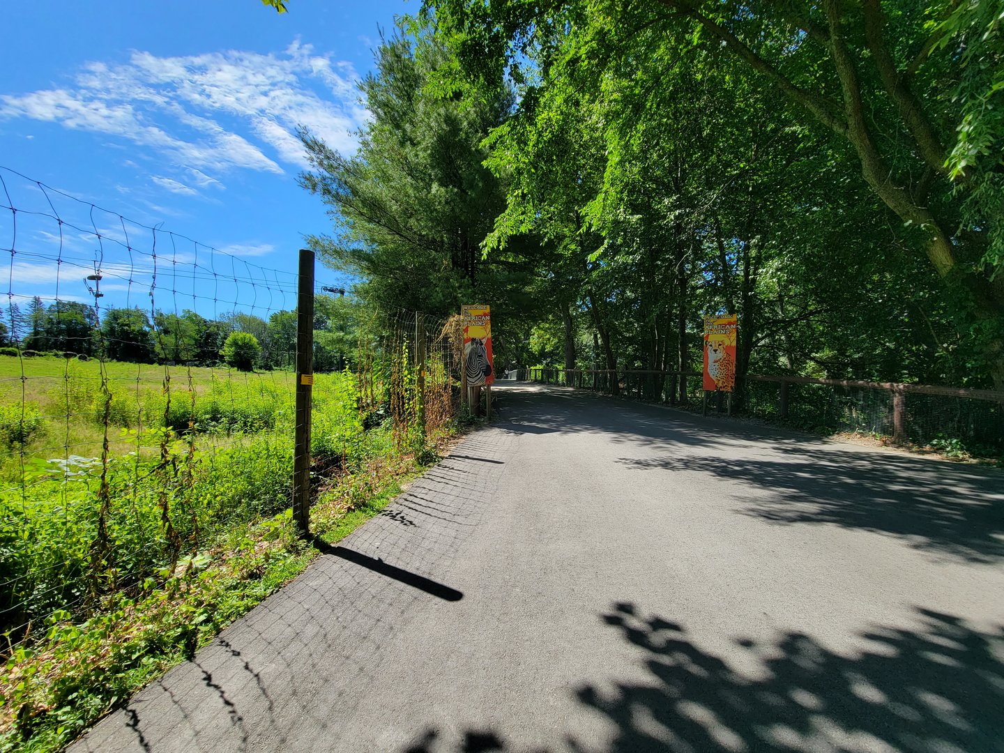 Southwick 7/22 - Path, African hoofstock on left