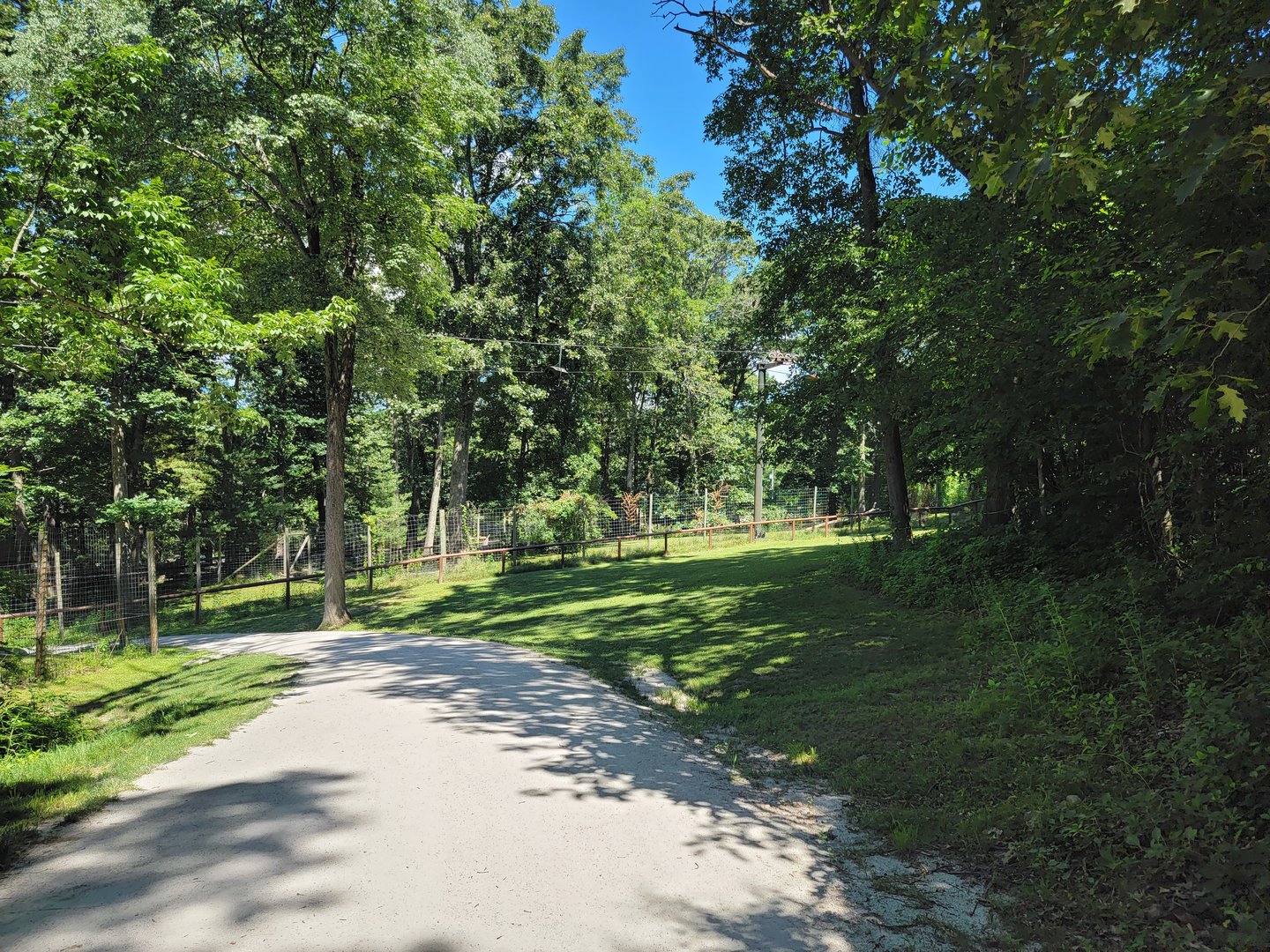 Southwick 7/22 - Path, cheetah yard #1