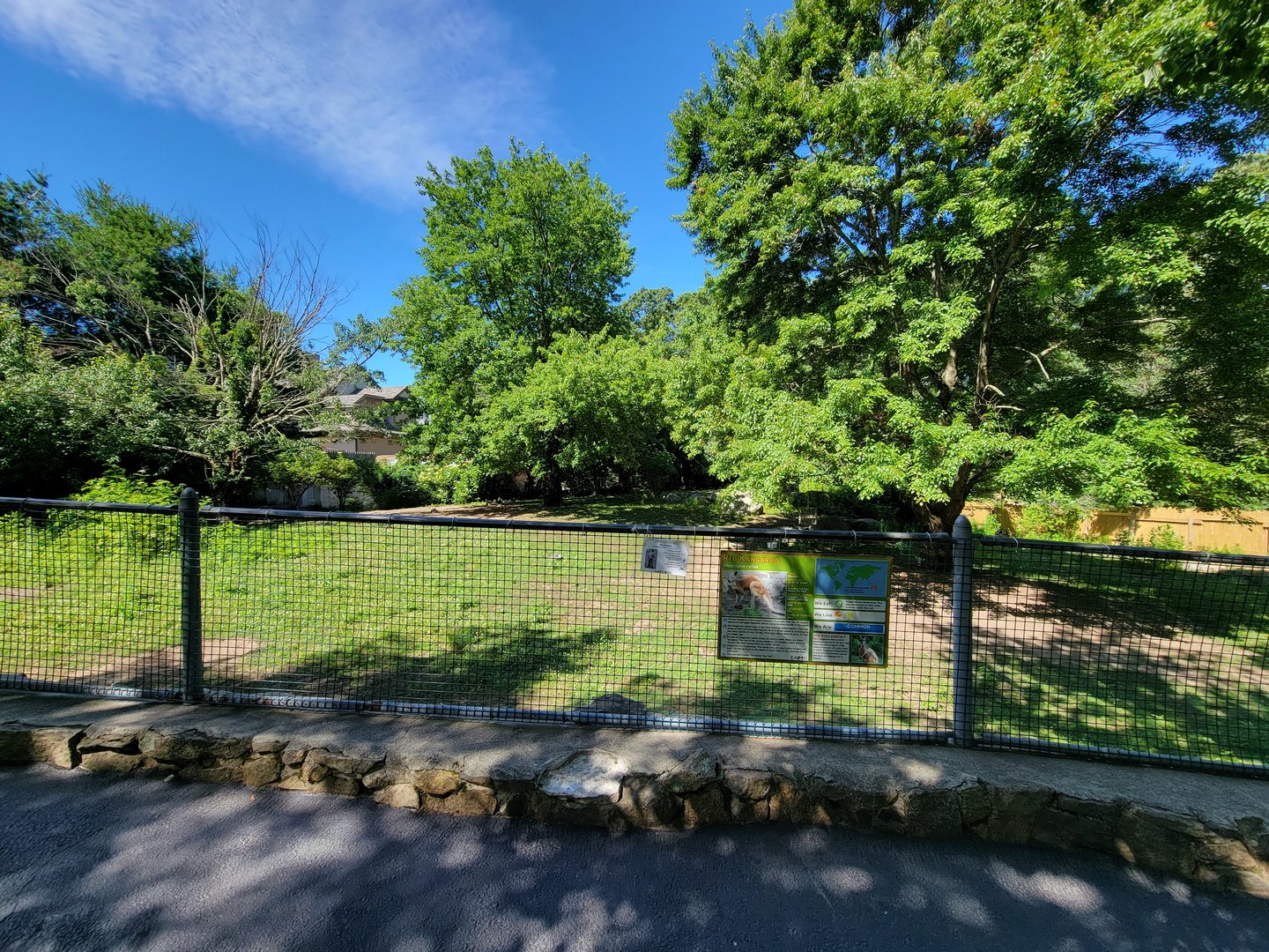 Southwick 7/22 - Red kangaroo exhibit