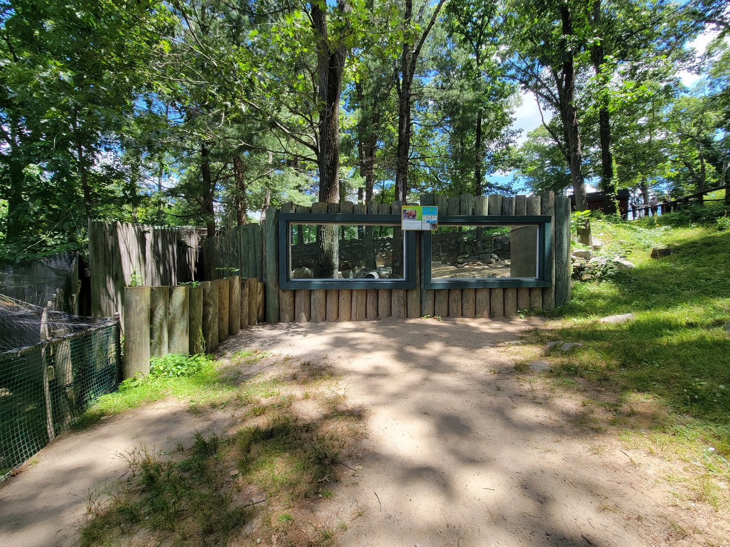 Southwick 7/22 - Red river hogs