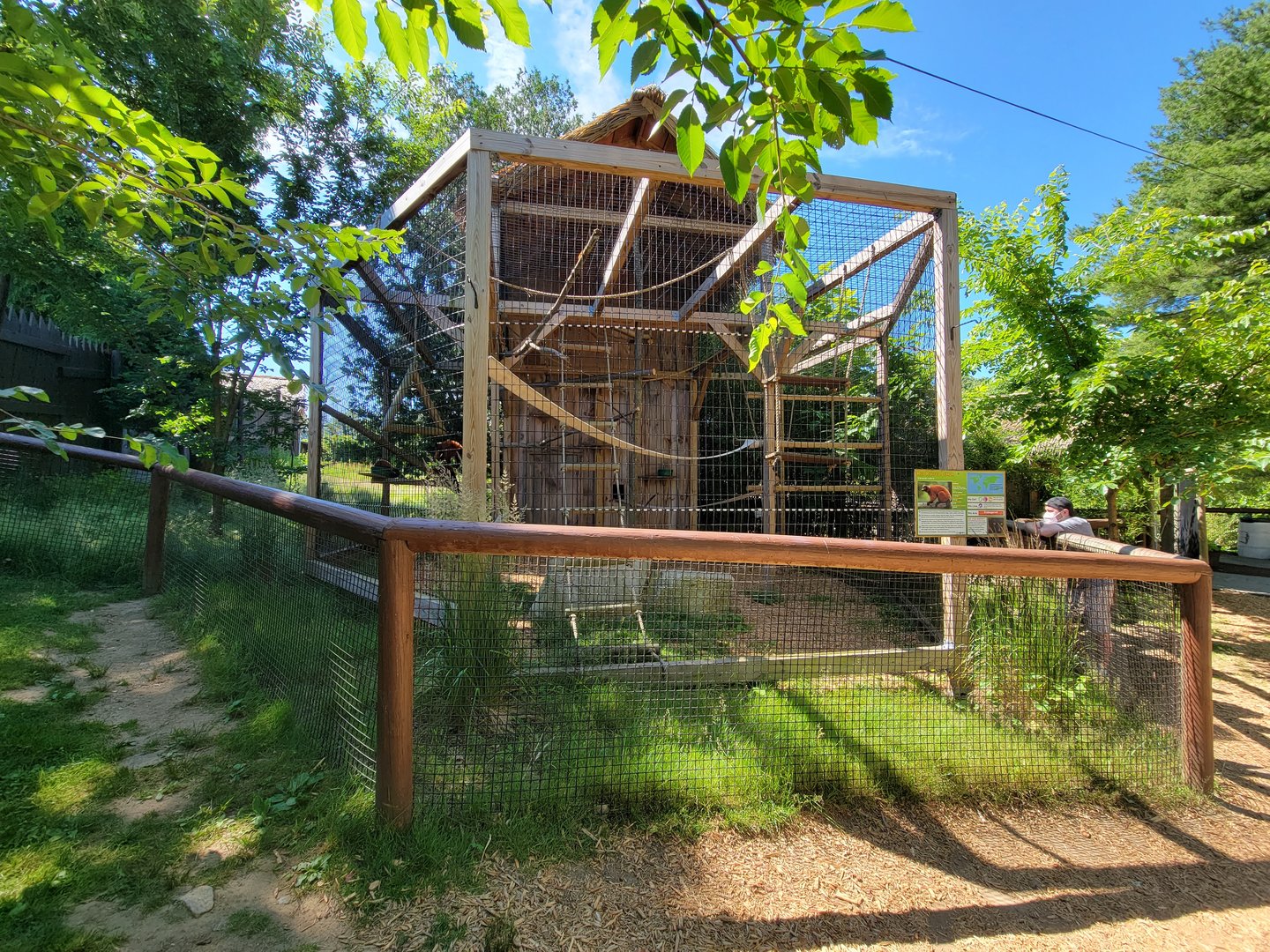 Southwick 7/22 - Red ruffed lemurs